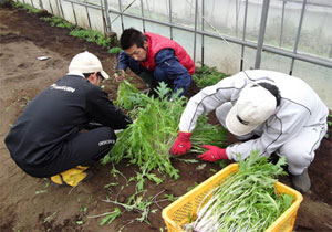 大分県立農業大学校・就農準備研修