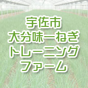 大分味一ねぎトレーニングファーム（宇佐市）