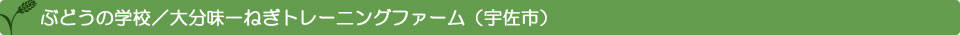 ぶどうの学校／大分味一ねぎトレーニングファーム（宇佐市）